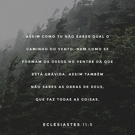 Ecclesiastes 11:5