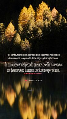 06 de febrero - Vertical