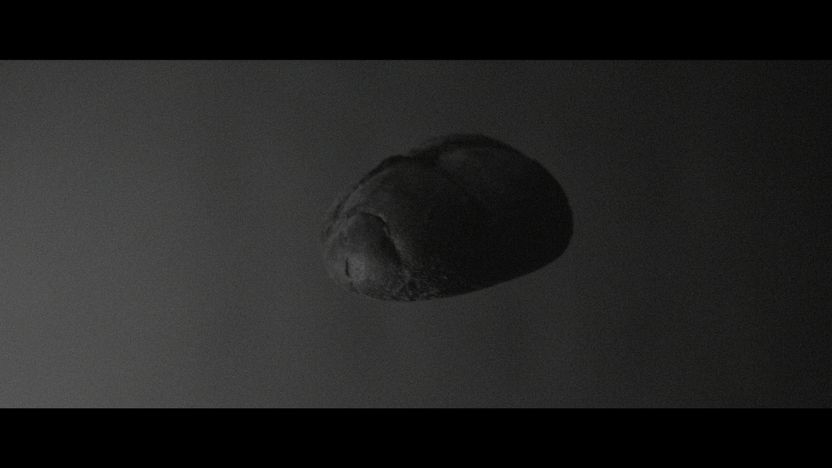 Still 04