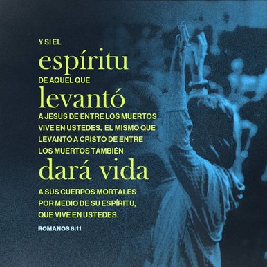 23 de enero - Plaza
