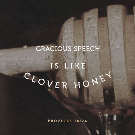 Proverbs 16:24