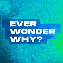 Ever Wonder Why?