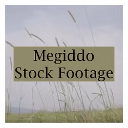 Megiddo Stock Footage (MOV)
