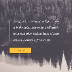 1 John 1:7