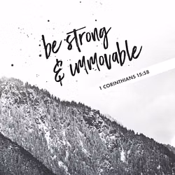 1 Corinthians 15:58