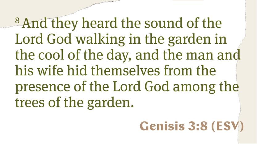Magic Screen - Scripture