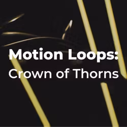 Motion Loops: Crown of Thorns