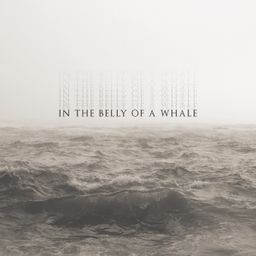 In the Belly of a Whale 