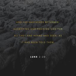 Luke 2:20