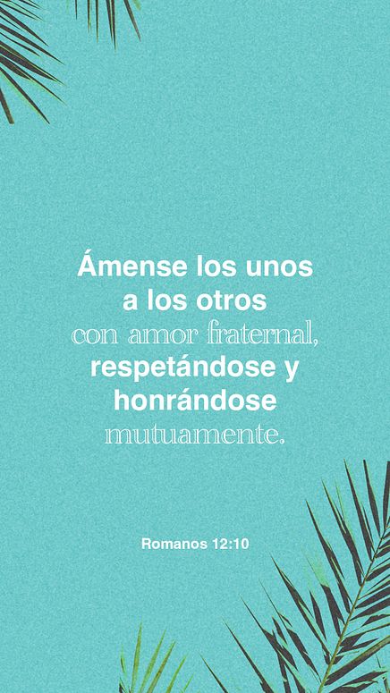 20 de enero - Vertical