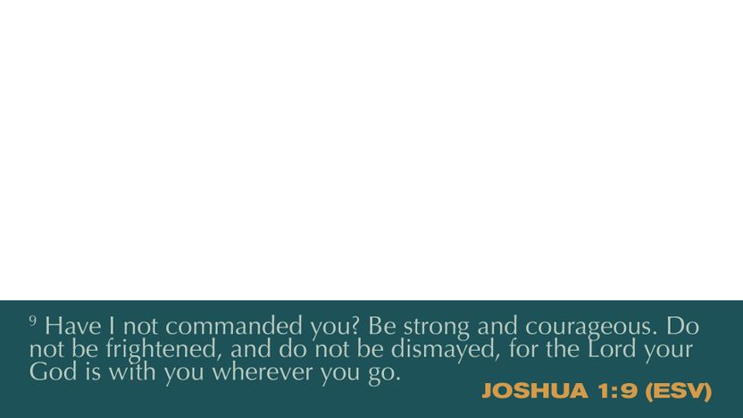 DSK 1 - Scripture Mockups