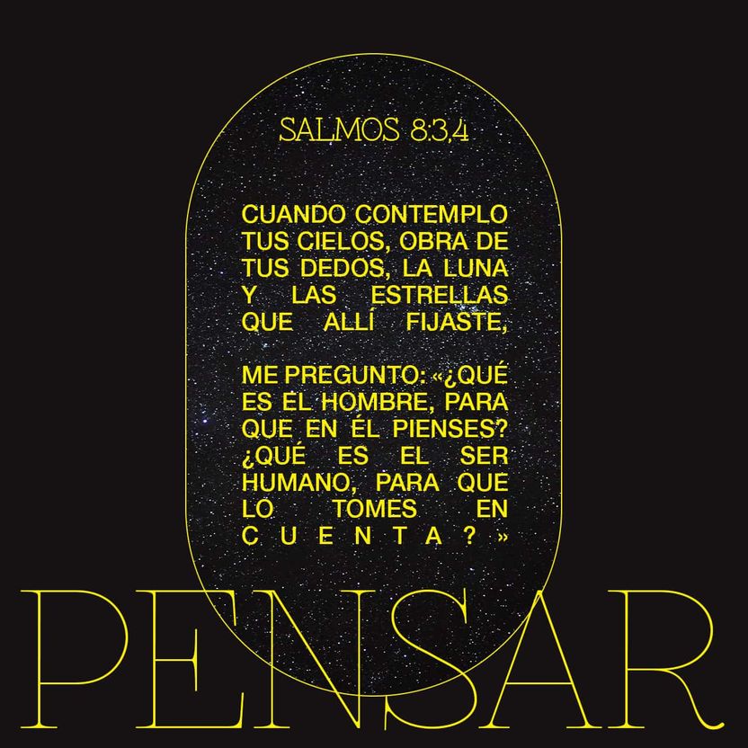 26 de enero - Plaza