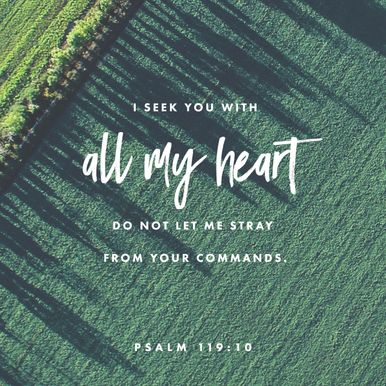 Psalm 119:10