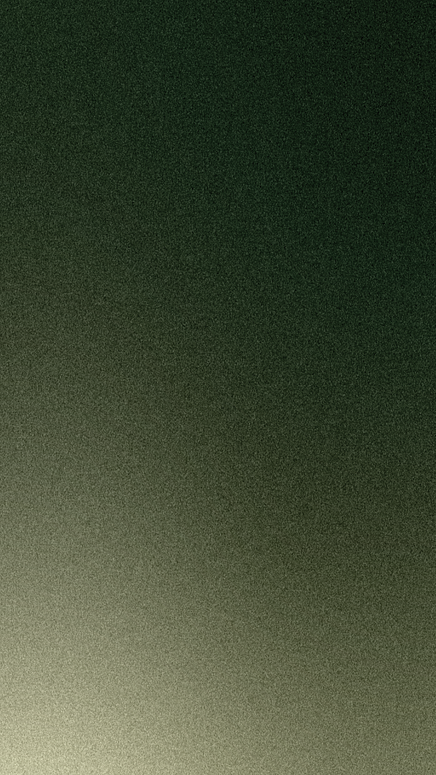 Vertical 3