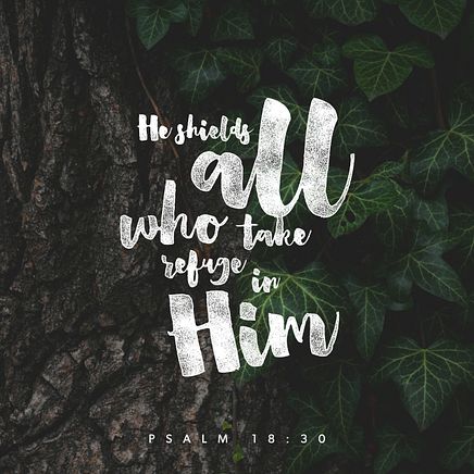 Psalm 18:30
