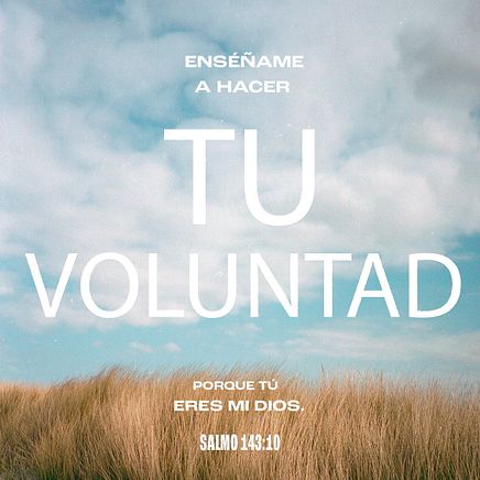 27 de enero - Plaza