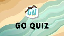 Go Quiz