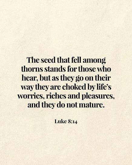 Image 06