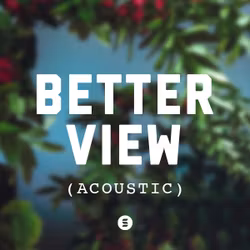 Better View (Acoustic)