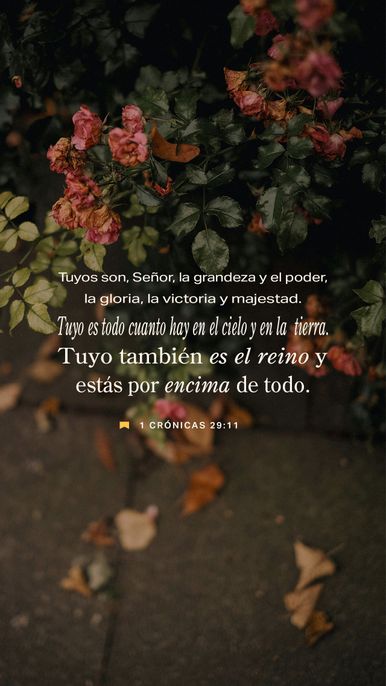 13 de enero - Vertical