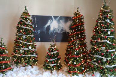 Christmas Tree 6
