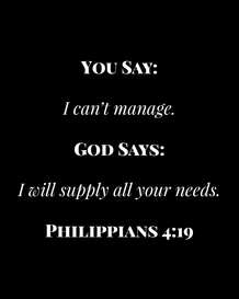 Image 06