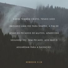 Hebrews 9:28