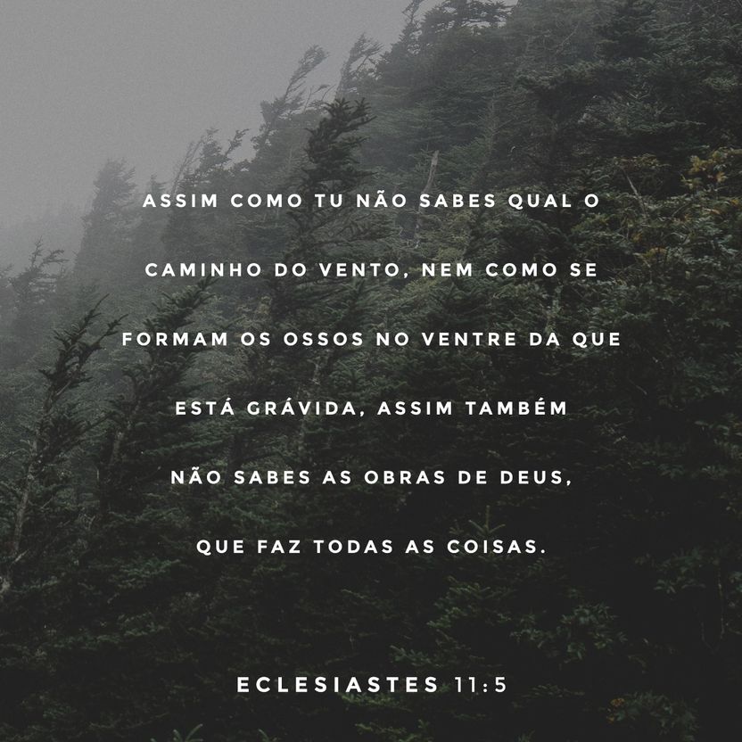 Ecclesiastes 11:5
