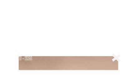 L3 Primary