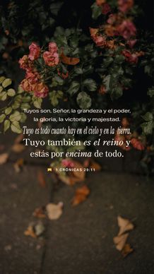 13 de enero - Vertical