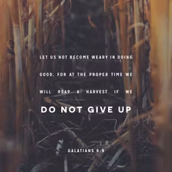 Galatians 6:9