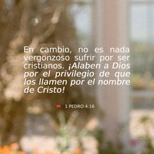 13 de febrero - Plaza