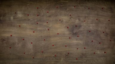 Photo 3 - Point Background
