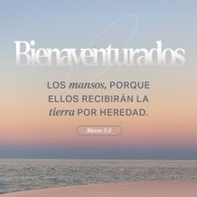 04 de junio - Mateo 5:5