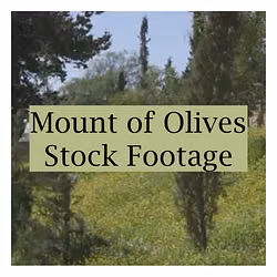 Mount of Olives Stock Footage