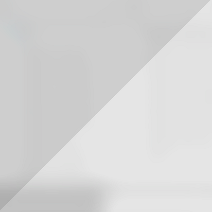 Photo Overlay 4
