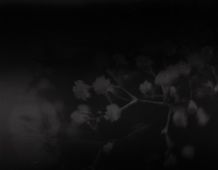 Black Background 1 - 3375x2625