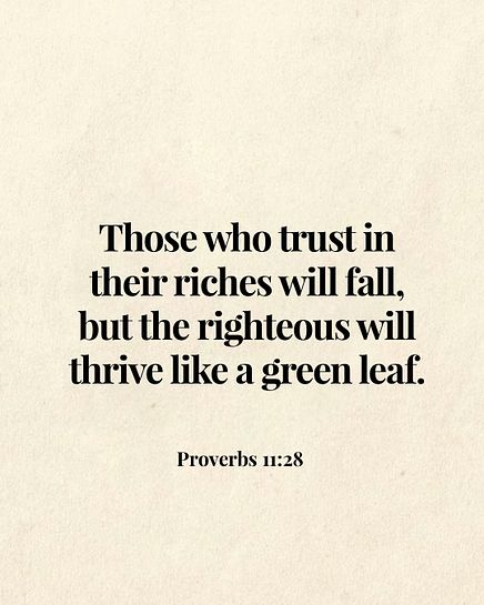 Image 05