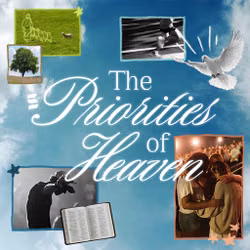 The Priorities of Heaven - Switch