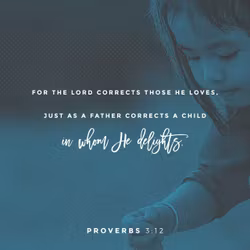 Proverbs 3:12