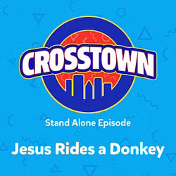 Jesus Rides a Donkey