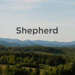 Shepherd
