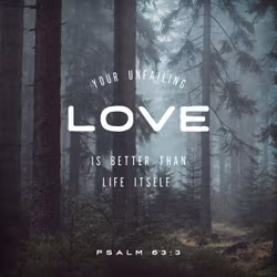 Psalm 63:3