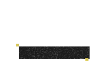 Lower Third Social 2