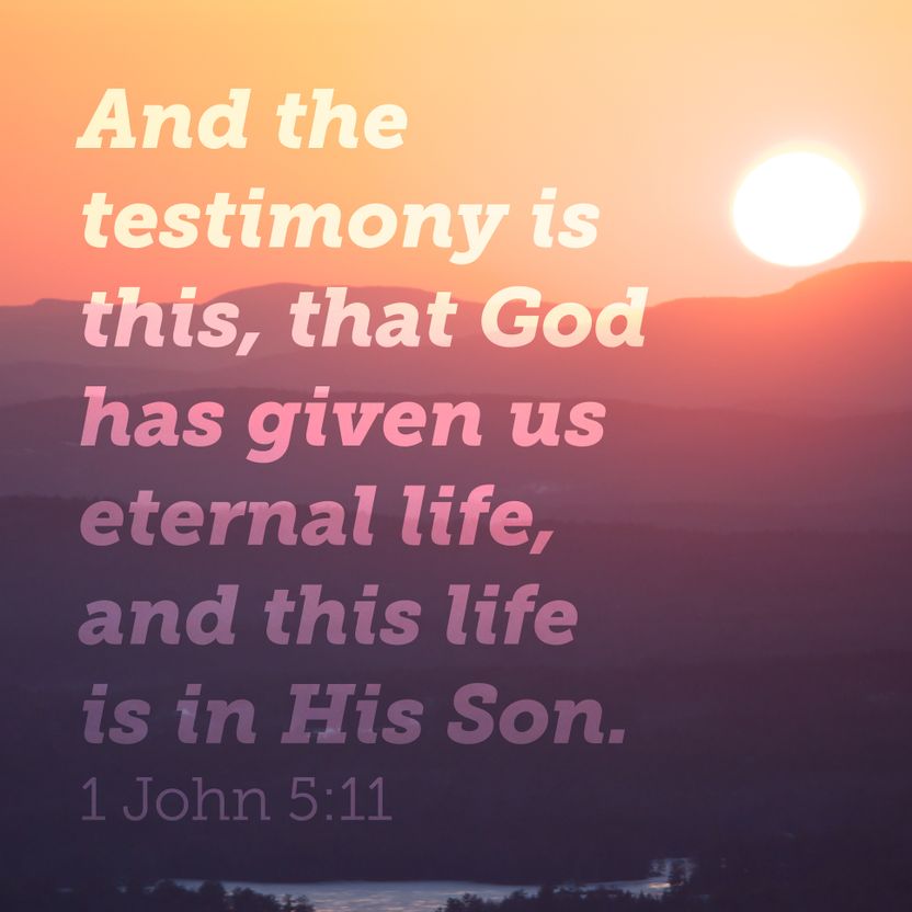 1 John 5:11