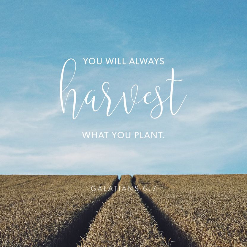 Galatians 6:7