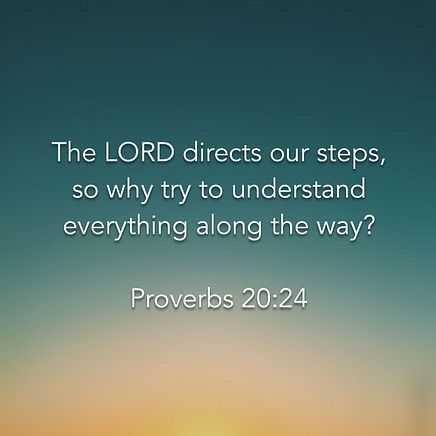 Proverbs 20:24
