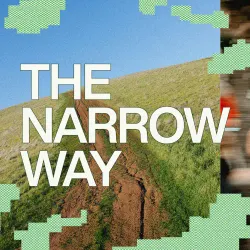 The Narrow Way - Switch