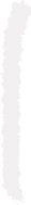 Tick 1