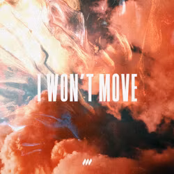 I Won't Move